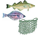 Mono Gillnets & Bags