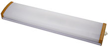 FLUORESCENT LIGHT 2 TUBE 8W/24V