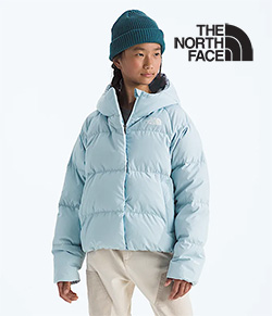 THE NORTH FACE NORTH DOWN HOODY (POLAR HAZE)