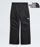 THE NORTH FACE BOYS FREEDOM INSULATED PANT (BLACK)