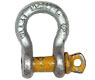 Shackles, Thimbles & Wire Rope Clips