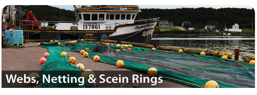 Webs, Netting & Scein Rings